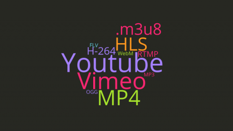 player tags video formats