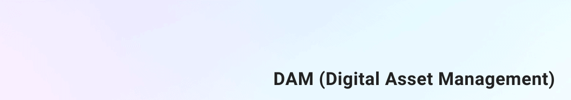 DAM (Digital Asset Management)
